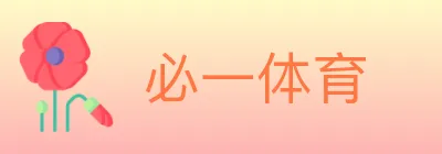 必一体育 Logo